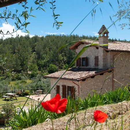 Agriturismo Molino Verde Montecchio  Ngoại thất bức ảnh