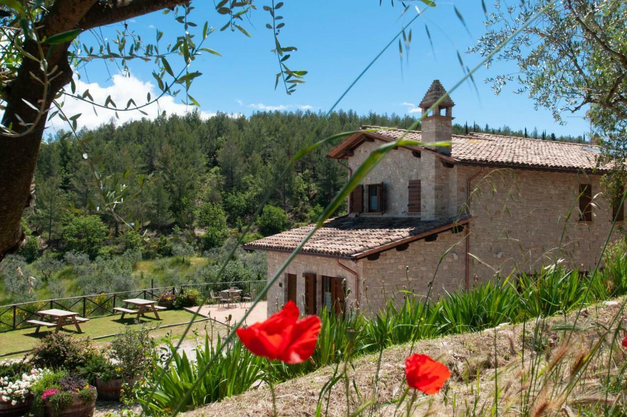 Agriturismo Molino Verde Montecchio  Ngoại thất bức ảnh