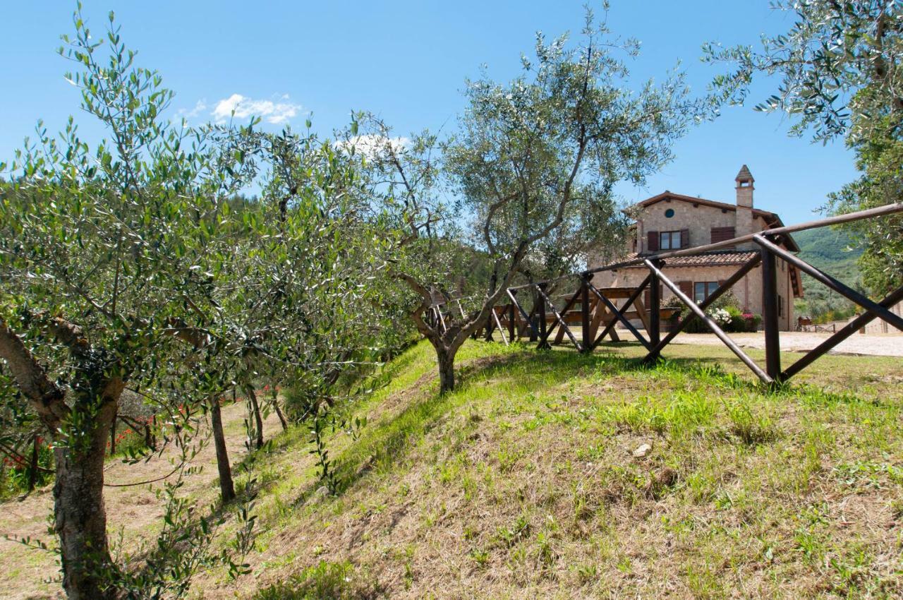 Agriturismo Molino Verde Montecchio  Ngoại thất bức ảnh