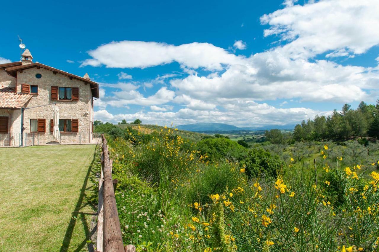 Agriturismo Molino Verde Montecchio  Ngoại thất bức ảnh