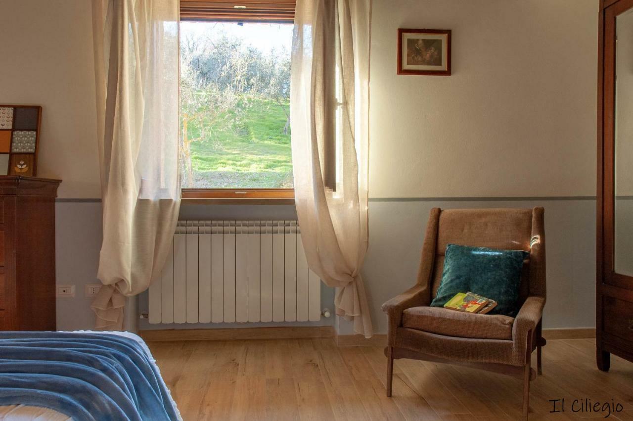Agriturismo Molino Verde Montecchio  Ngoại thất bức ảnh
