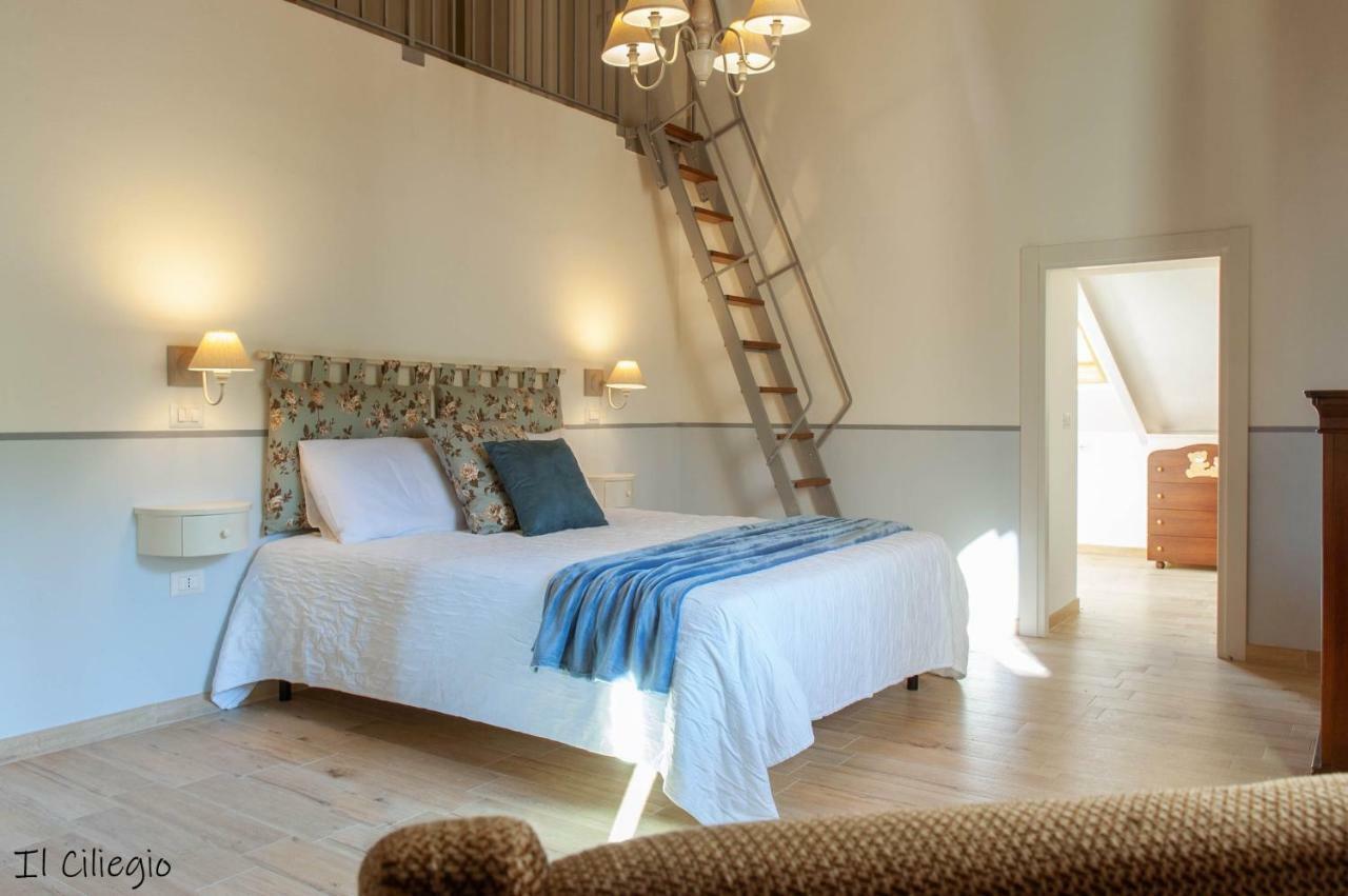 Agriturismo Molino Verde Montecchio  Ngoại thất bức ảnh