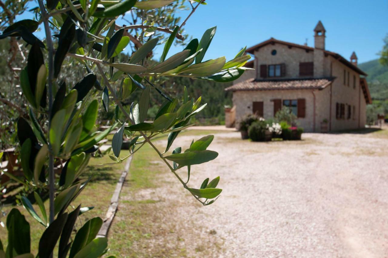 Agriturismo Molino Verde Montecchio  Ngoại thất bức ảnh