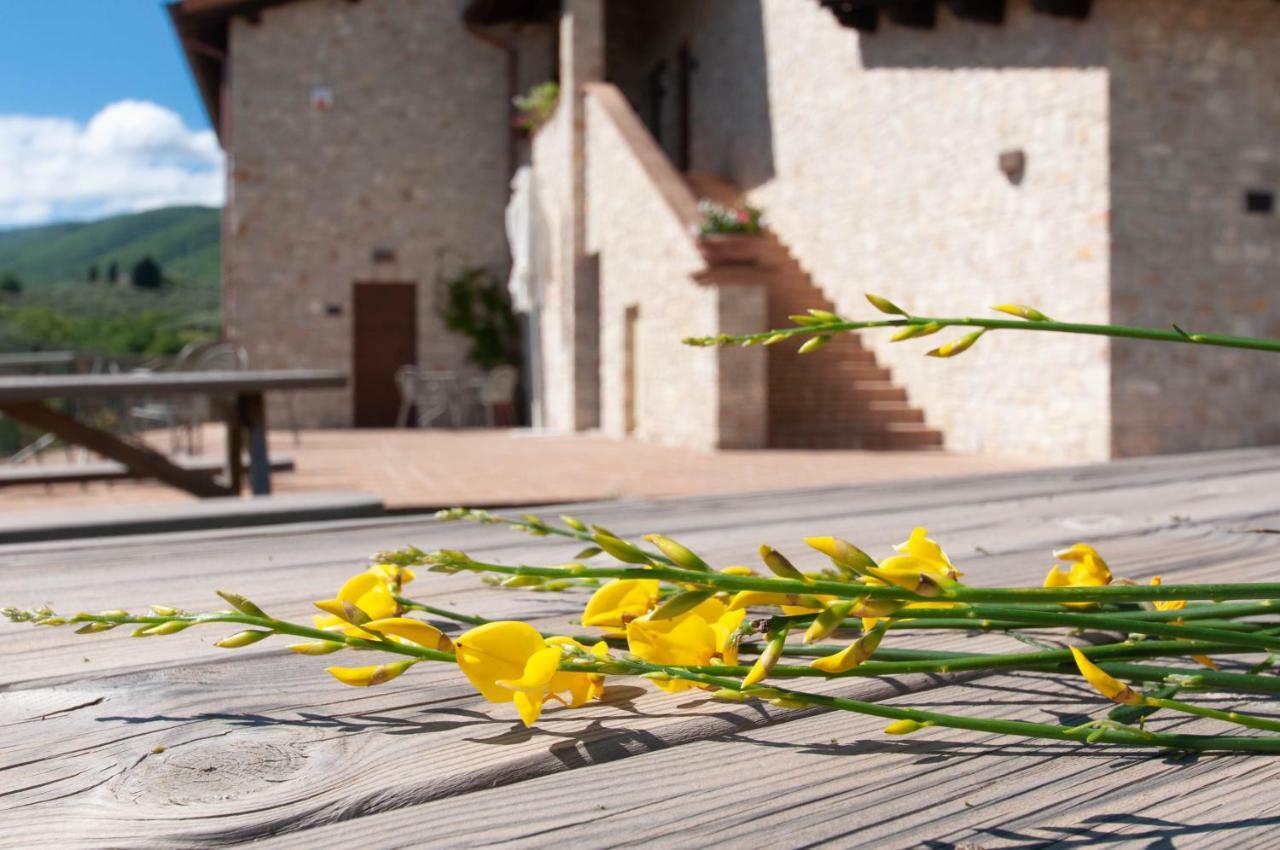 Agriturismo Molino Verde Montecchio  Ngoại thất bức ảnh