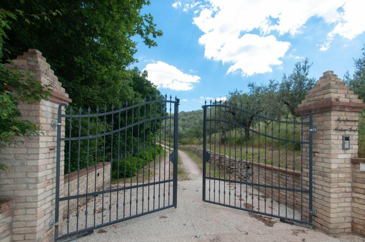 Agriturismo Molino Verde Montecchio  Ngoại thất bức ảnh