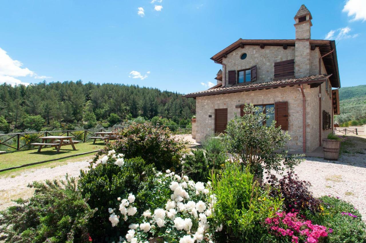 Agriturismo Molino Verde Montecchio  Ngoại thất bức ảnh